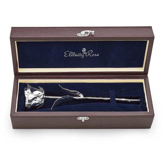 Silver wedding anniversary gift