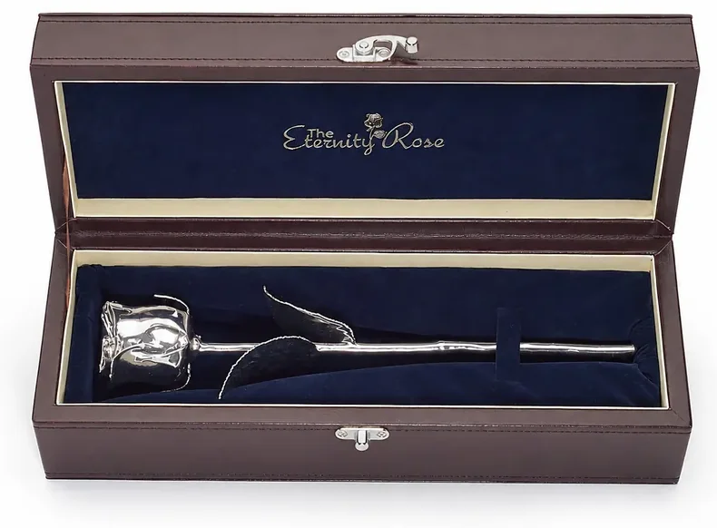 A genuine natural rose preserved in silver in its presentation case