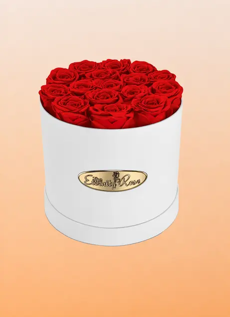 Preserved boxed roses