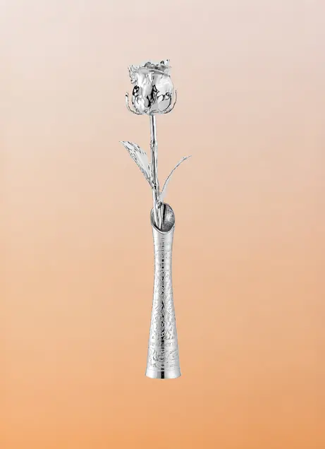 Rose and vase set